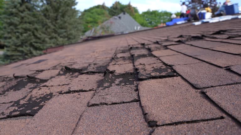 Best Steel Roofing  in New Middletown, OH